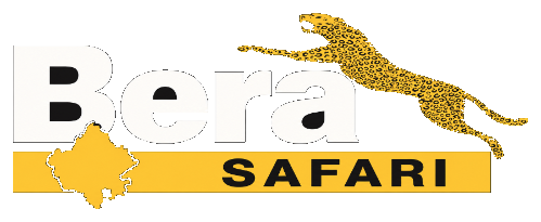 Bera Safari